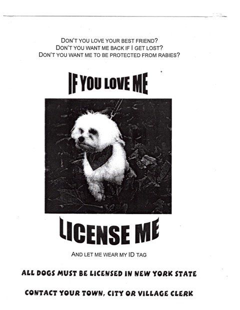 Poster of Dog