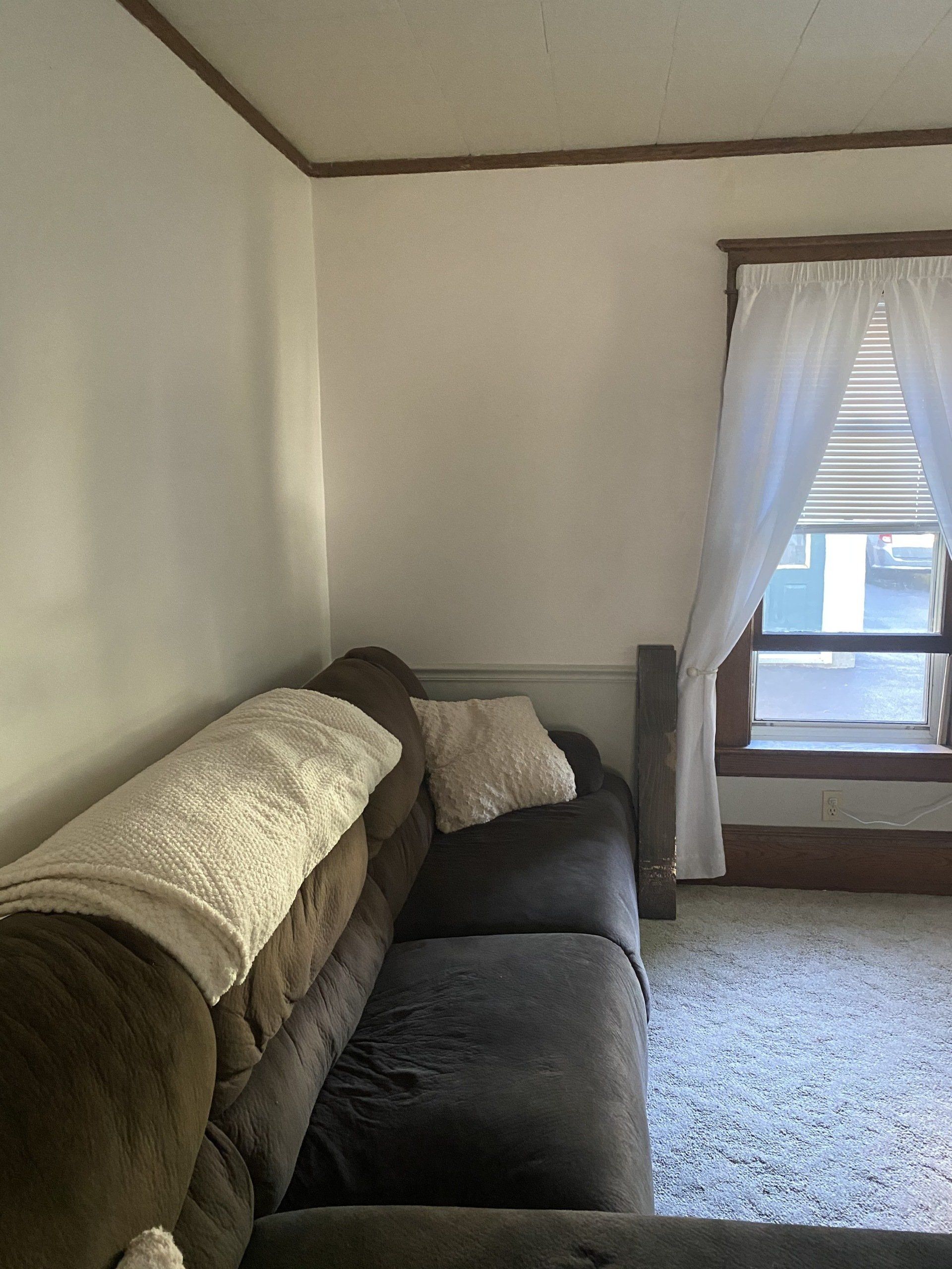Small living room with dark sofa, white pillows, carpet, and a window with sheer curtains.