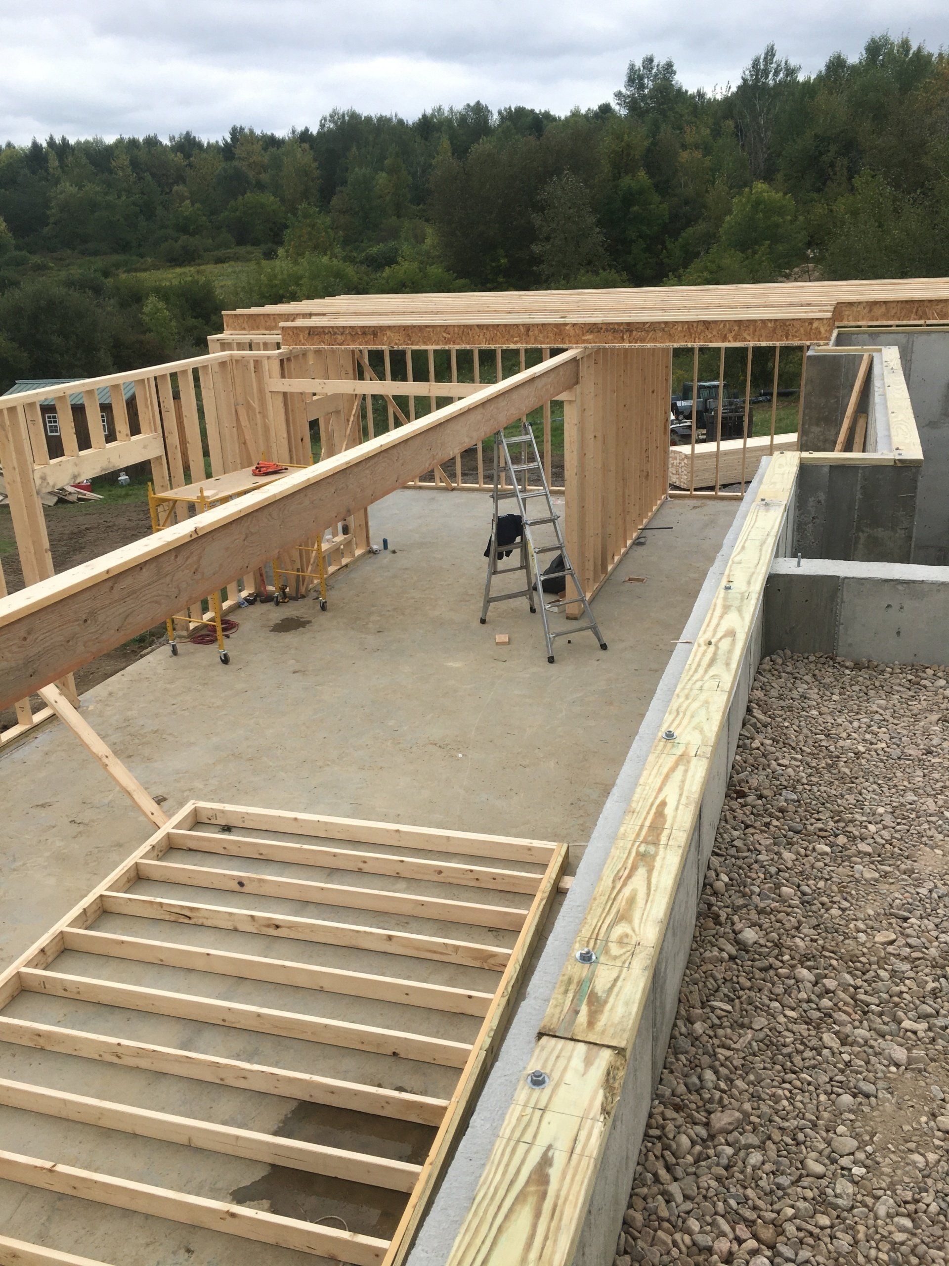 Partially built wooden house framing on a concrete foundation with a ladder and forested background