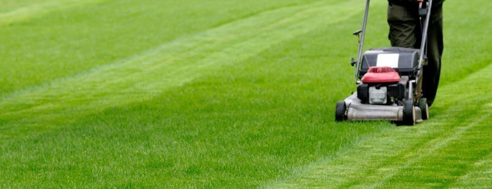 Lawn mowing