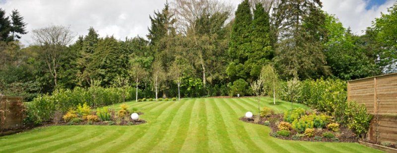 Natural turf