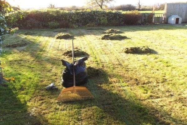 Garden cleaning