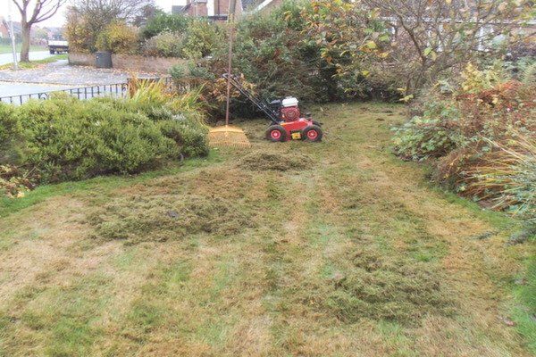 Lawn mowing