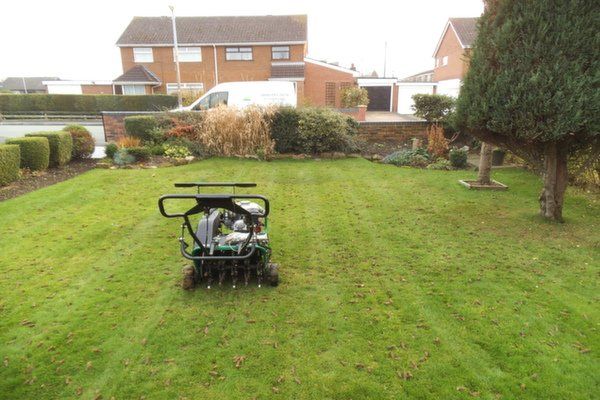 Manicured lawn