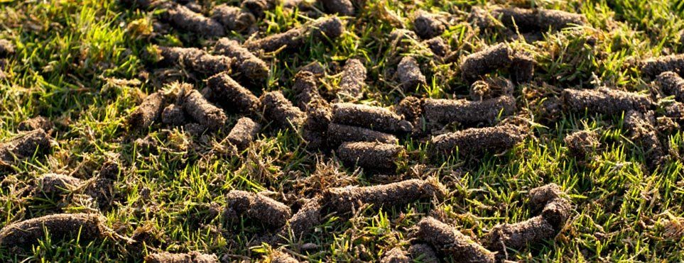 Aeration