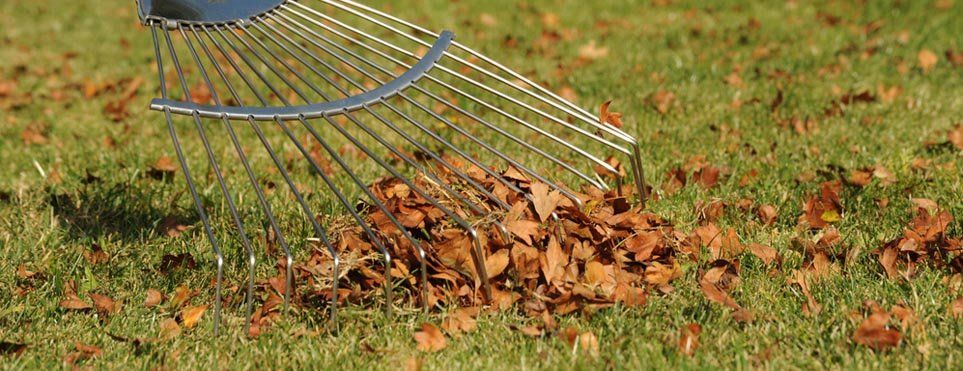 Garden cleanup