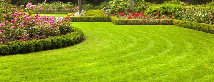 Early summer garden
