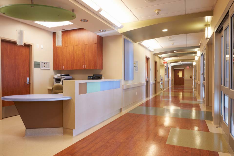 Private Hospitals