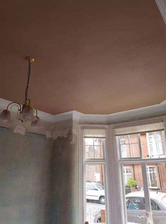 Freshly plastered bay-window ceiling with ornate coving in York