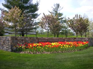 Executive Building - Landscaping in Bedford Hills, NY Executive Building - Landscaping in Bedford Hills, NY