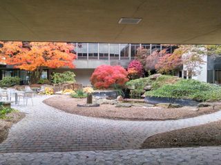 Courtyard of Business Building - Landscaping in Bedford Hill, NY Courtyard of Business Building - Landscaping in Bedford Hill, NY