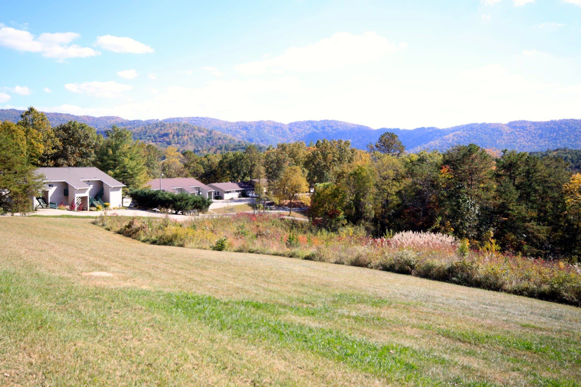 shanna ridge