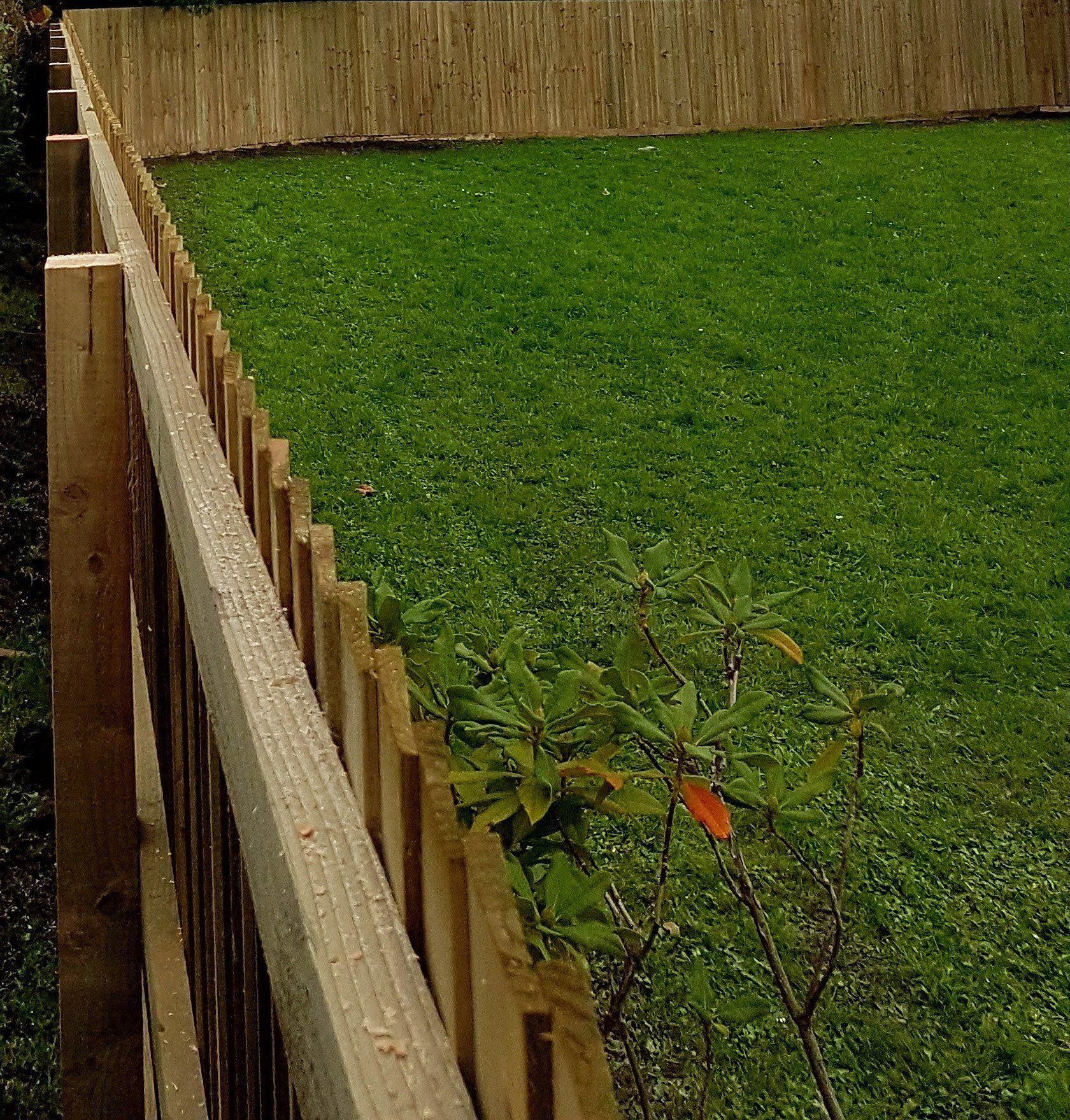 lawn mowing