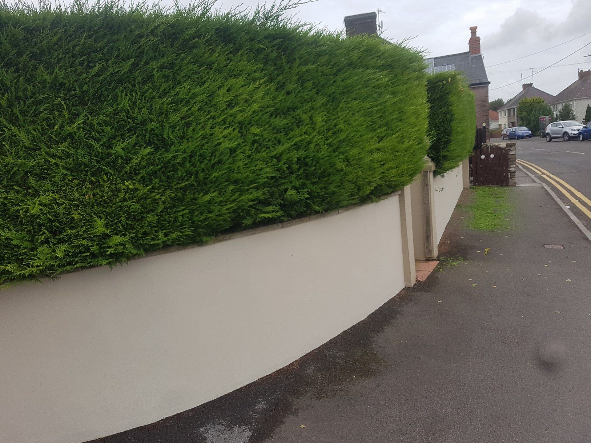 Tree maintenance