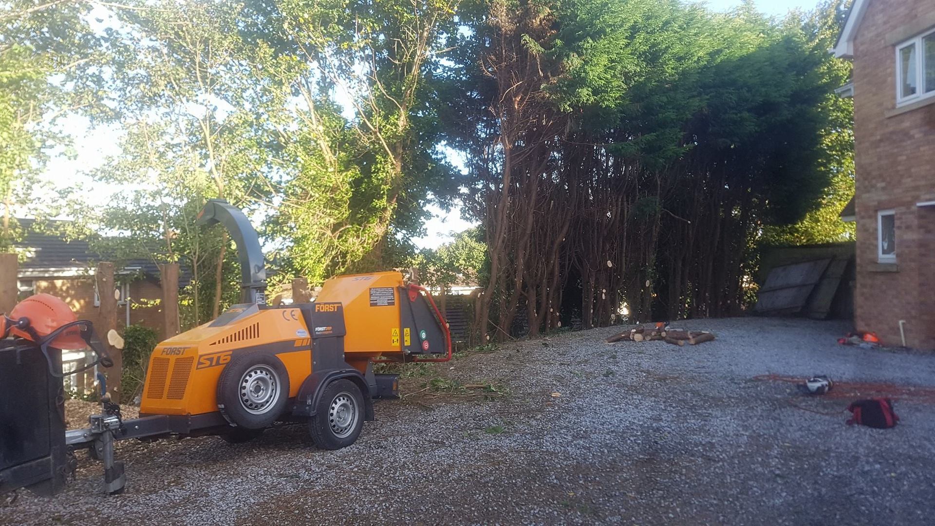 Tree pruning