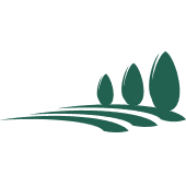 leaves icon