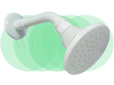 Shower Rose c/w Shower Arm