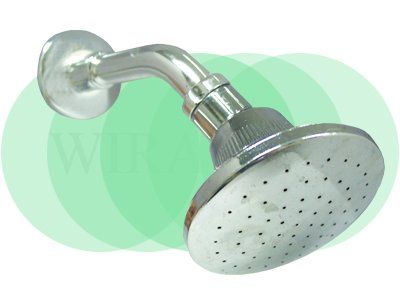 Shower Rose c/w Shower Arm