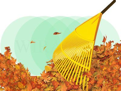 Garden Leaf Rake