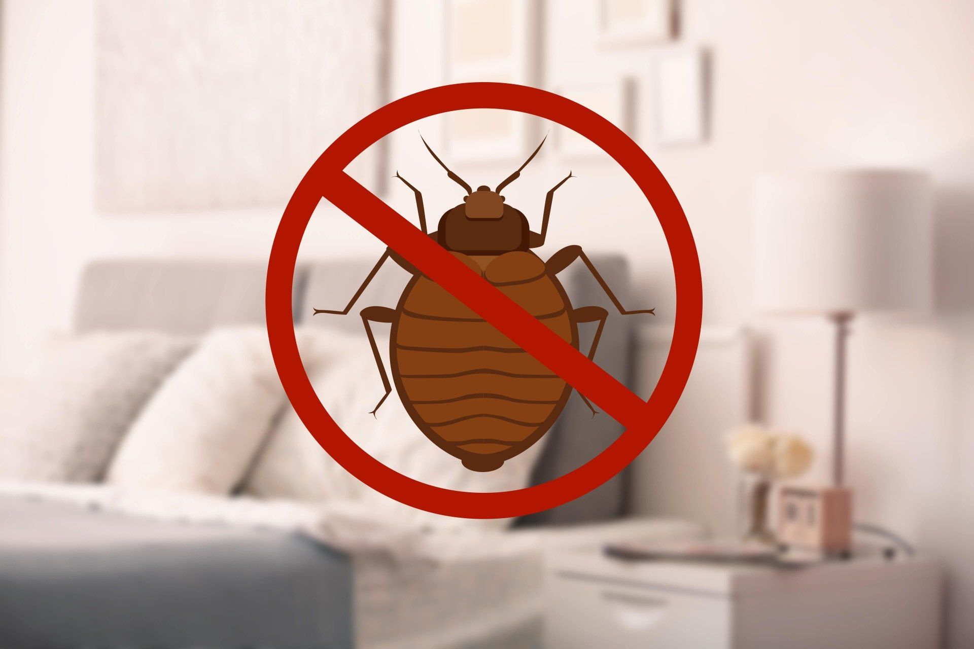 Disinfestazione