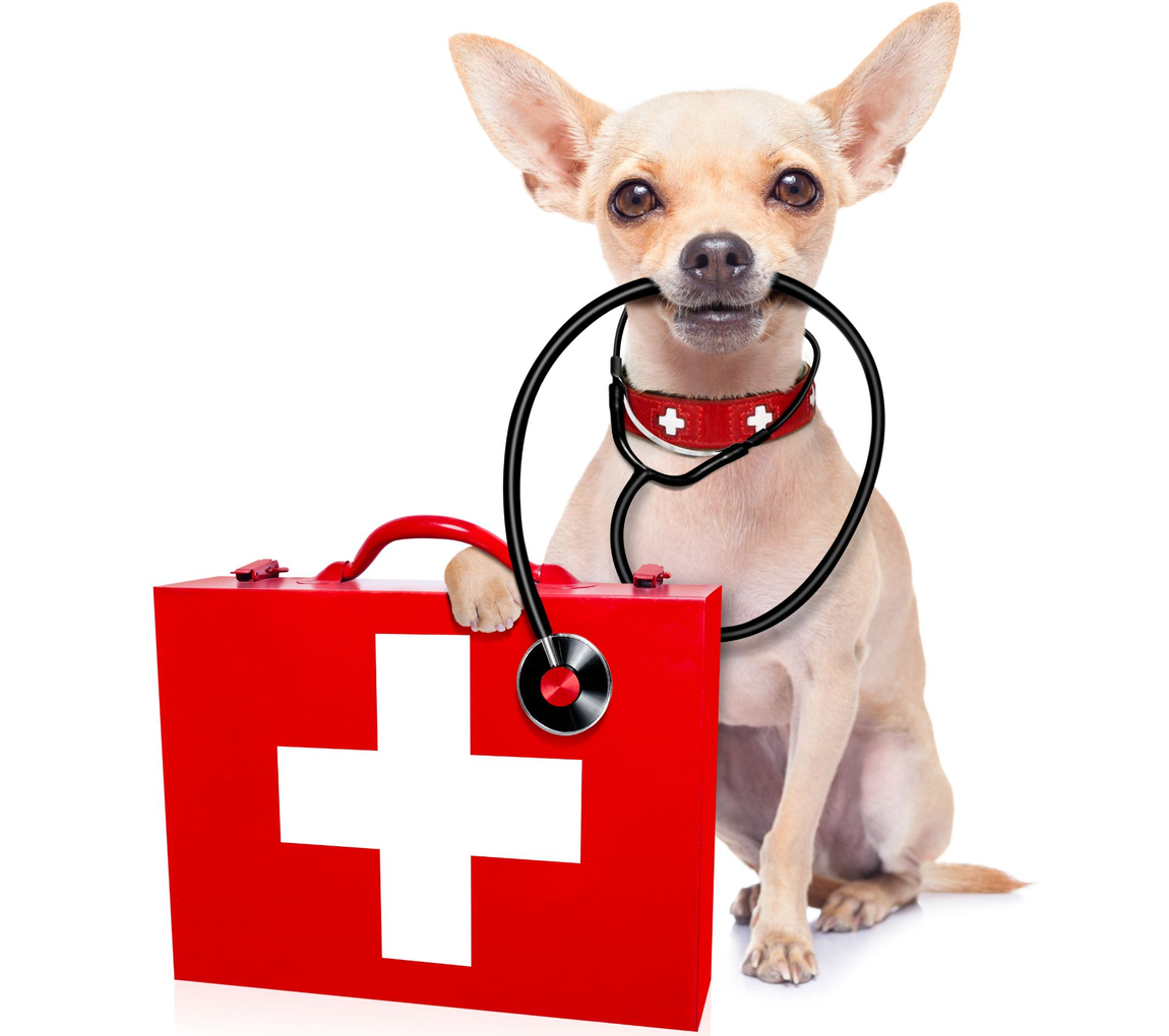 Farmacia veterinaria