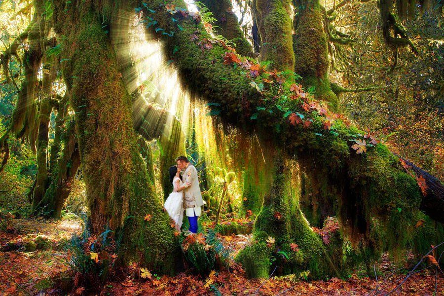 Couple embraces in a mossy forest with sunlight streaming through the trees and fall foliage.