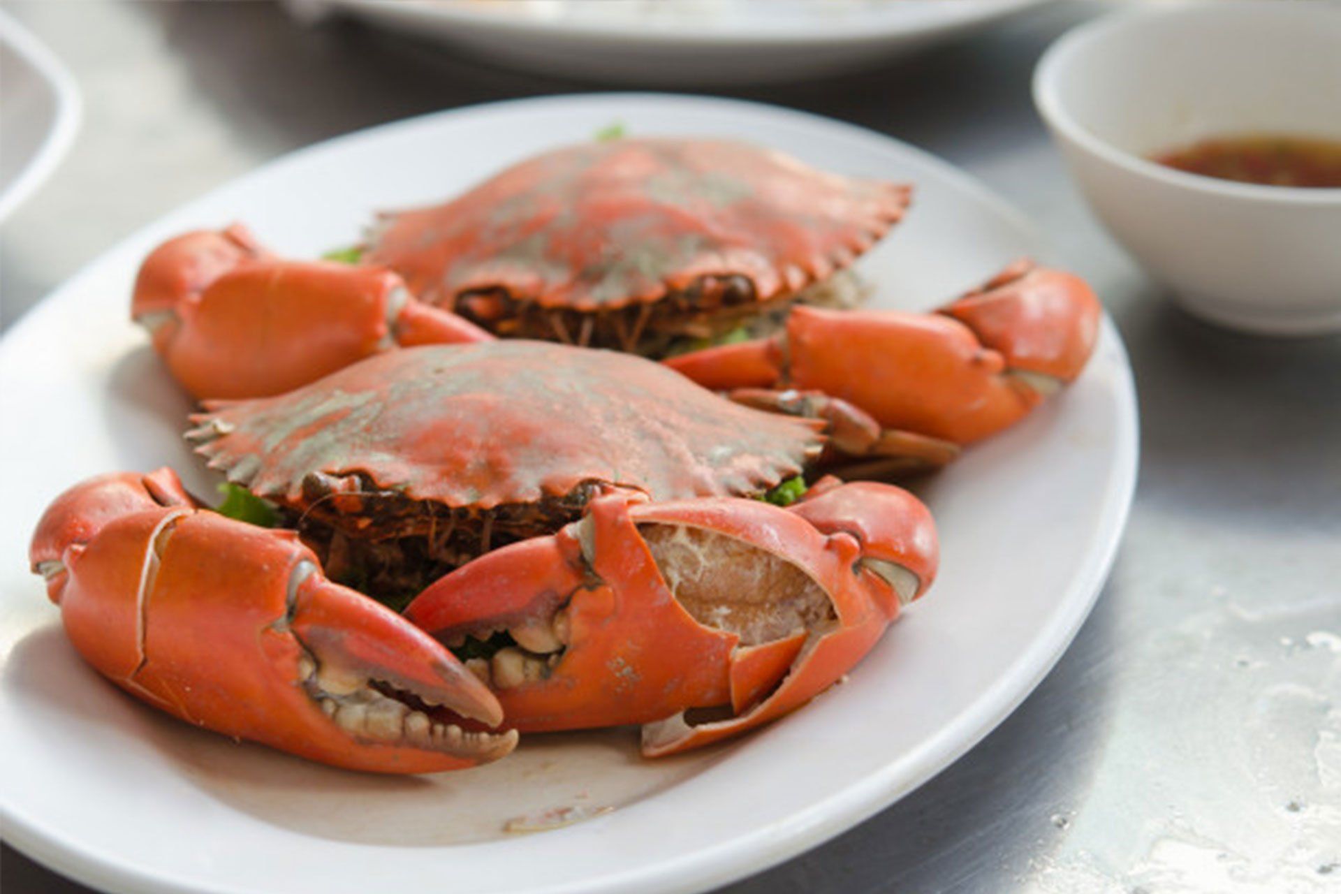 Dungeness Crab