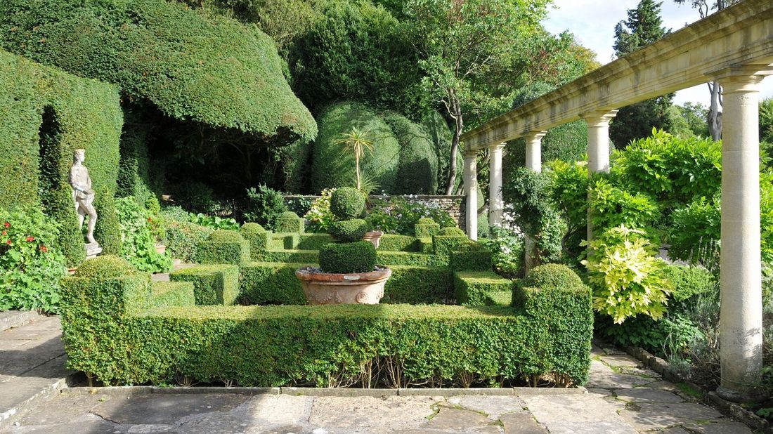 Giardino con siepi