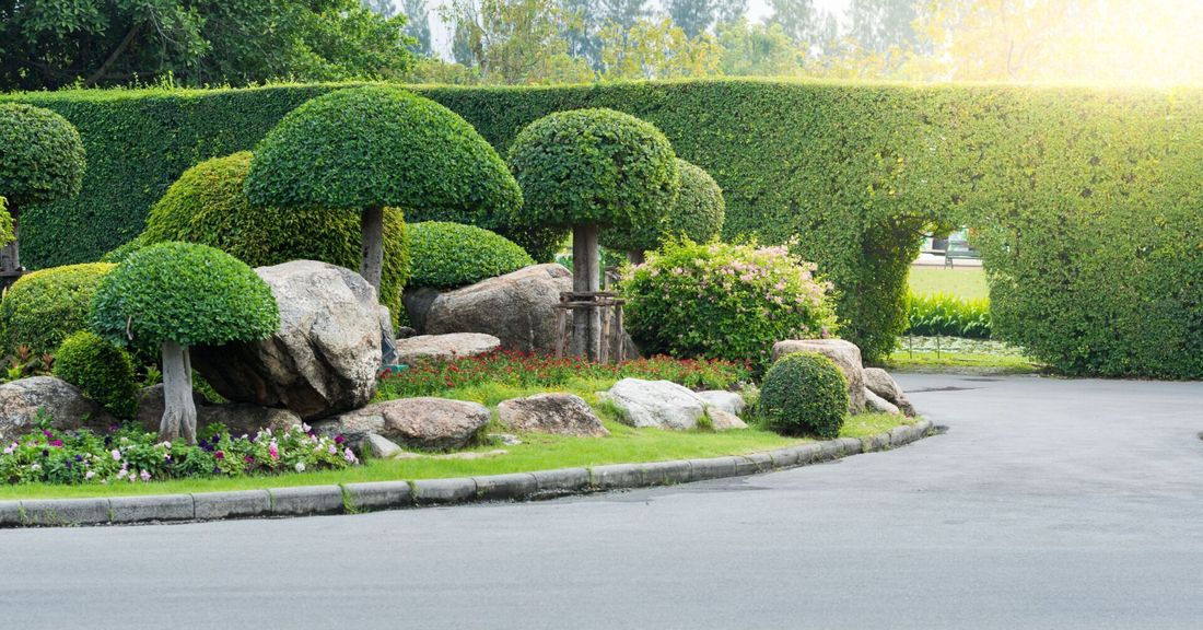 Giardino con piante potate