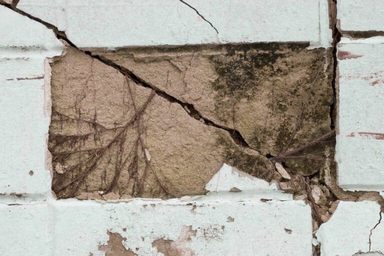 root damage