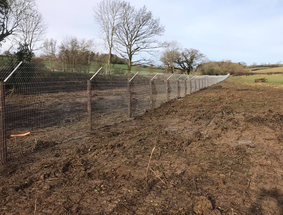 Badger Fencing Brackely