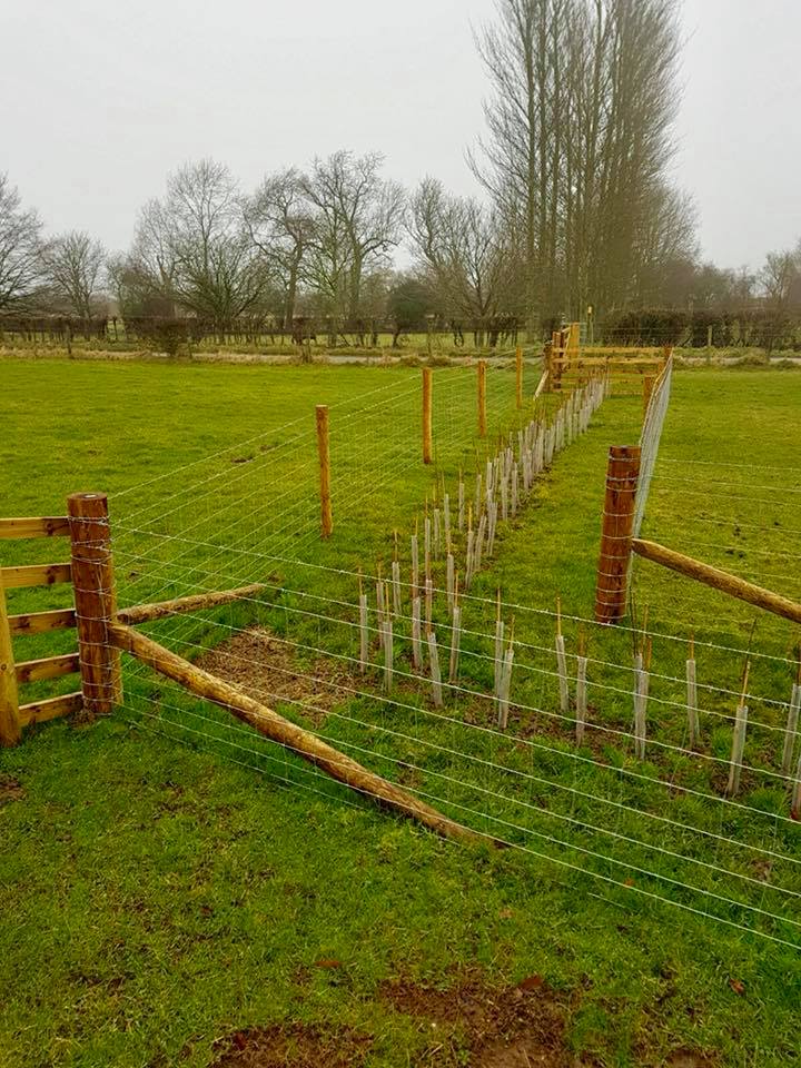 Agricultural Fencing Brackley