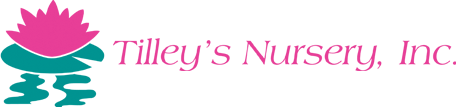 Tilley’s Nursery Inc. Tilley’s Nursery Inc.