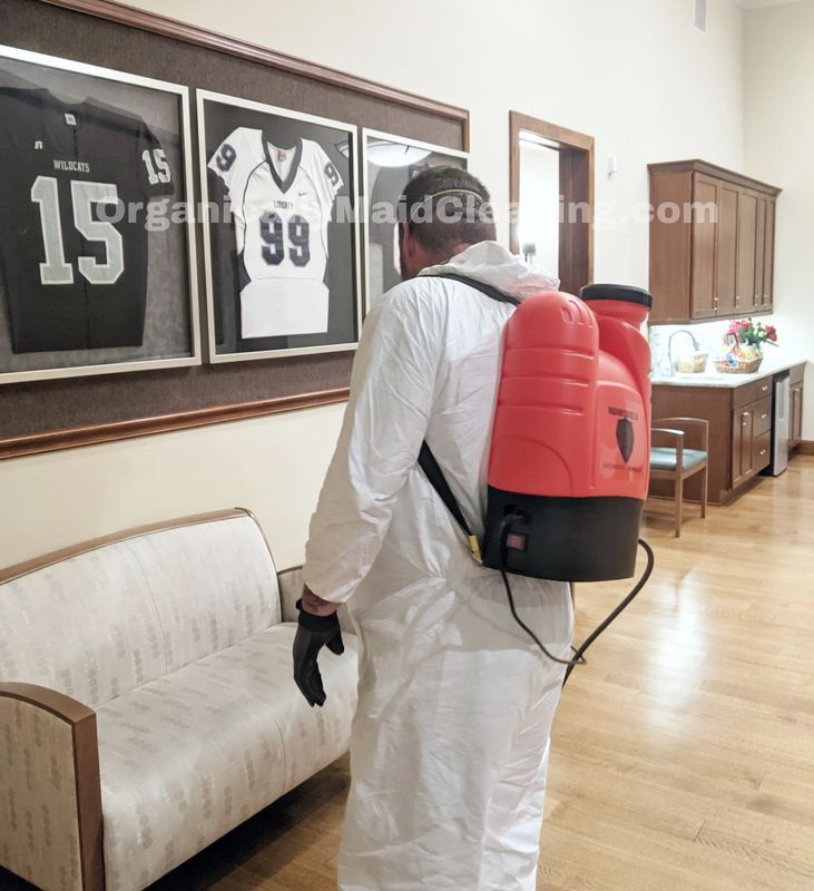 Cleaning service in living room