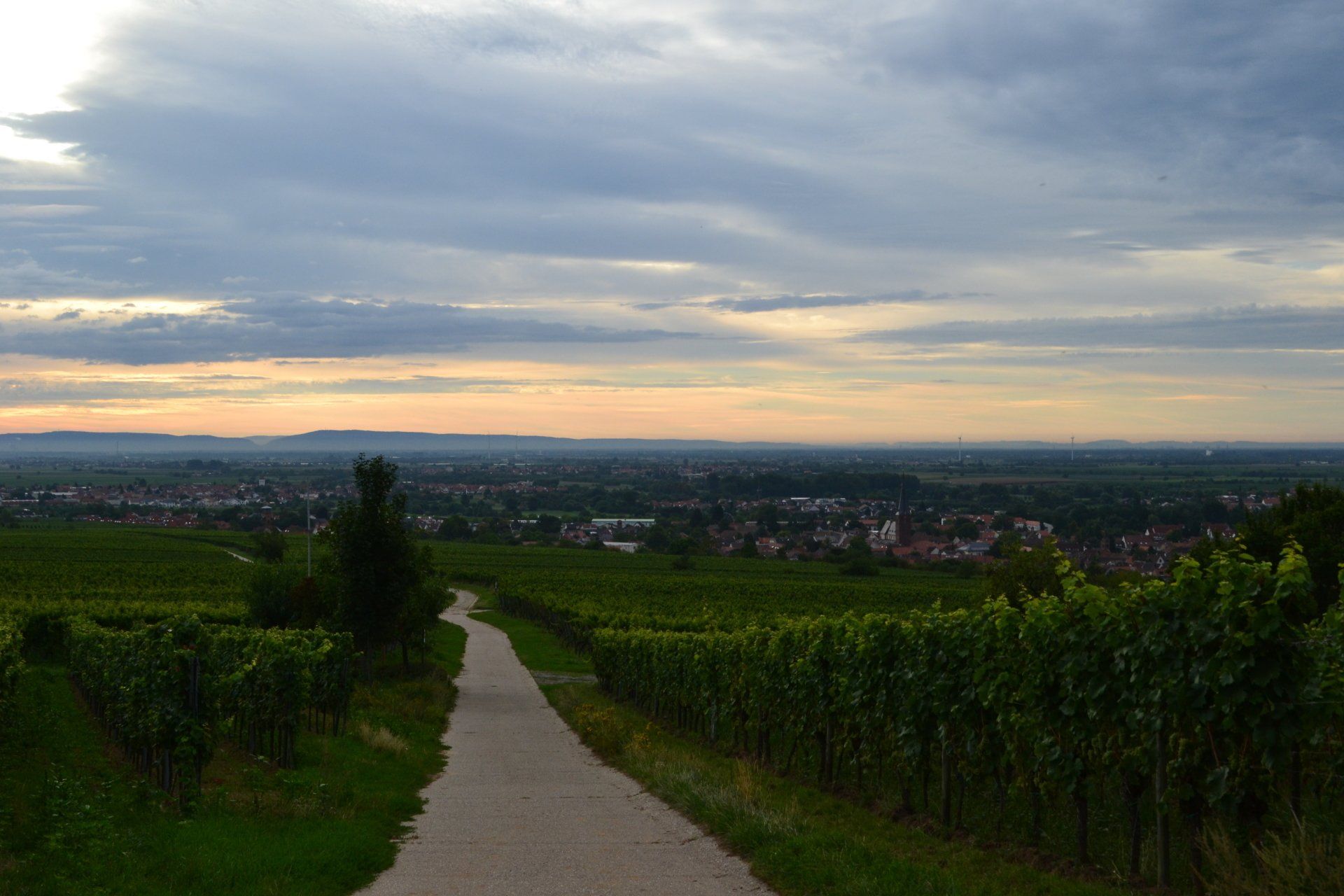 Deidesheimer Kieselberg