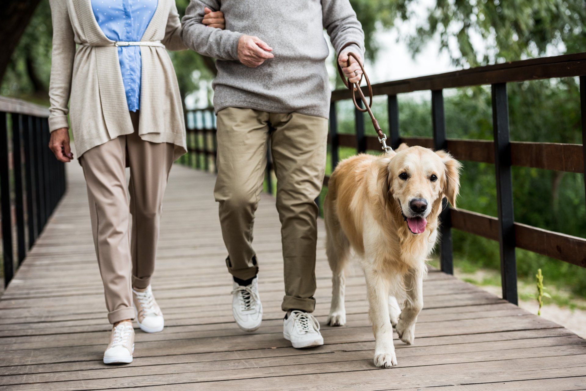 Our Dog walking trainers