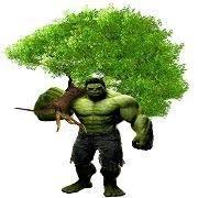 Absolute Tree and Stump Inc Absolute Tree and Stump Inc