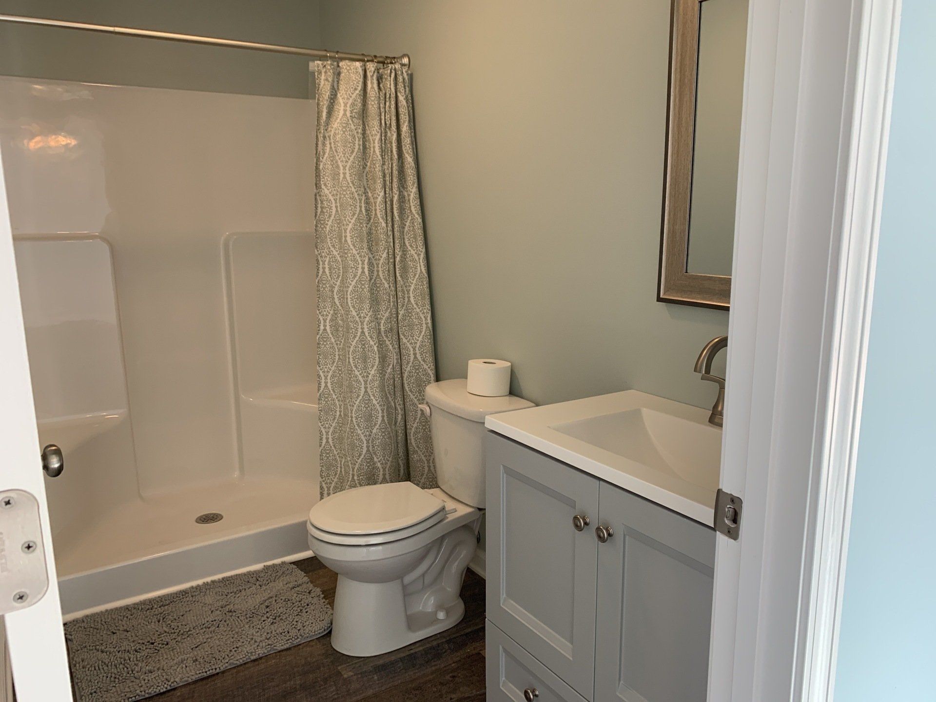Bathroom Remodel-Toilet