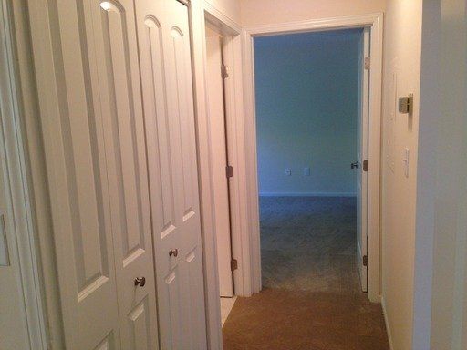 image_medium (5)