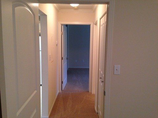 image_medium (6)