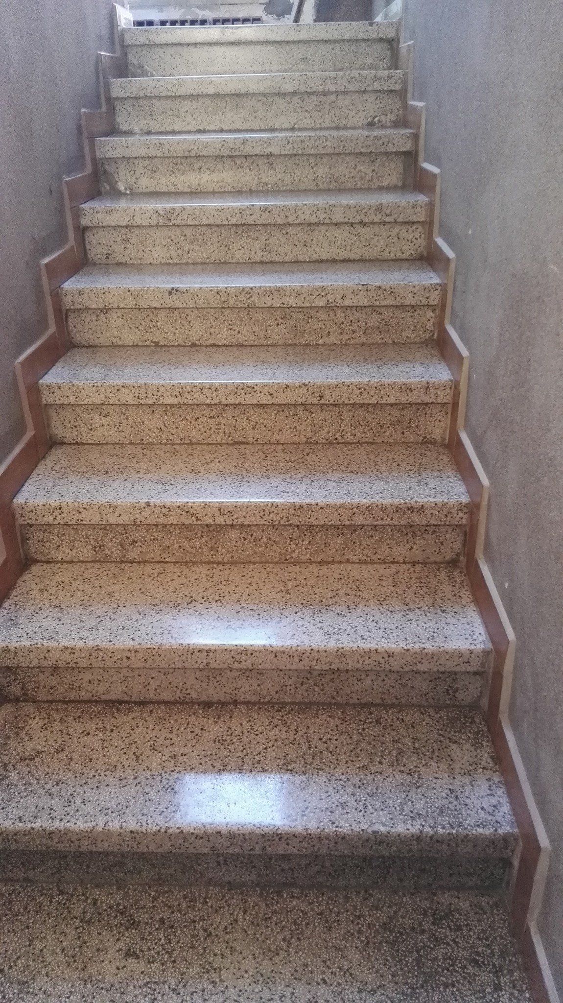 Stone steps with brown trim ascend between walls.