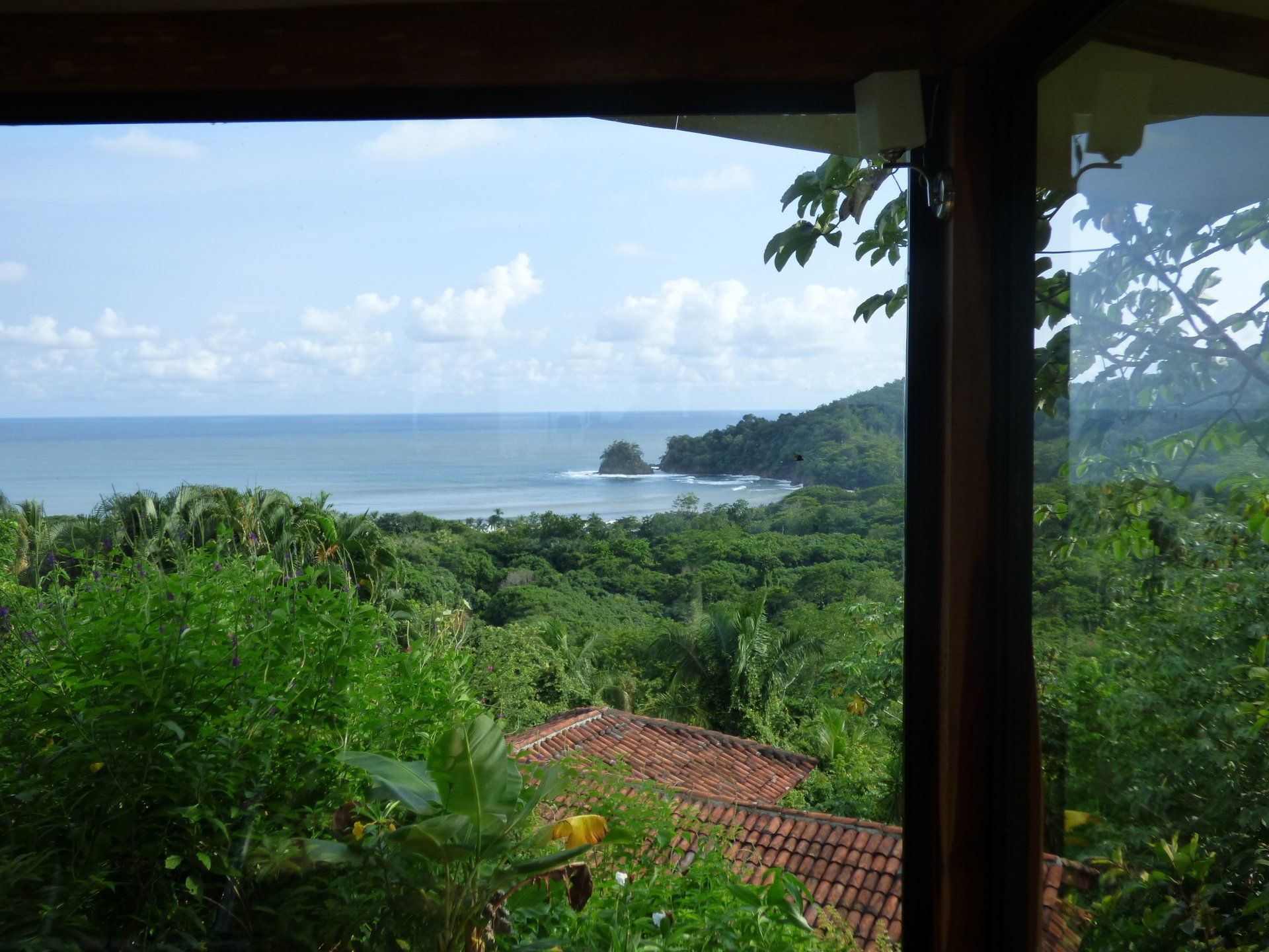 A view of the ocean through a window with trees in the foreground