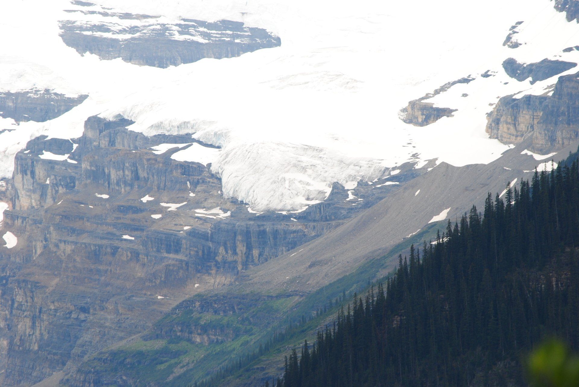 A mountain covered in snow with trees in the foreground