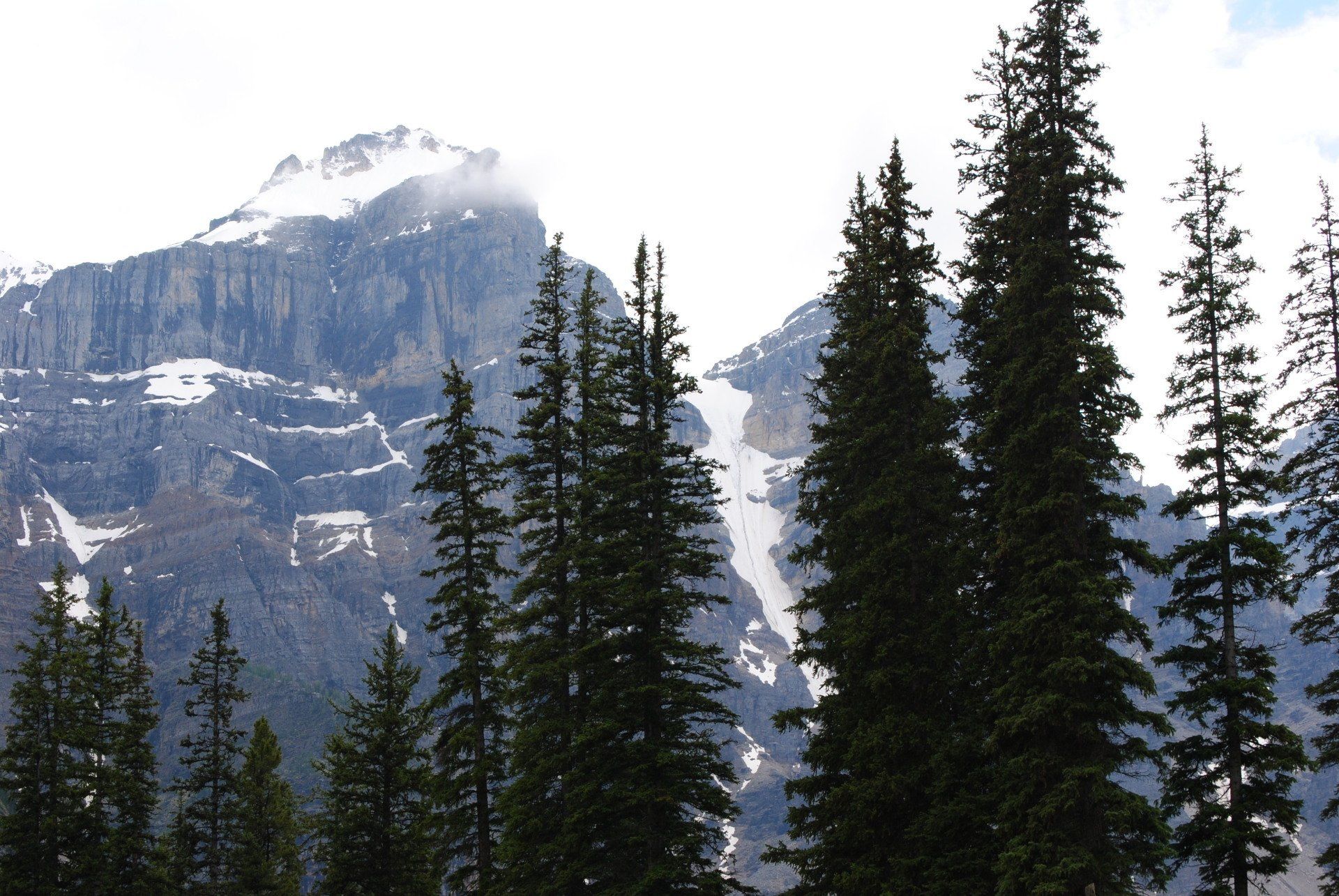 A snowy mountain with trees in the foreground