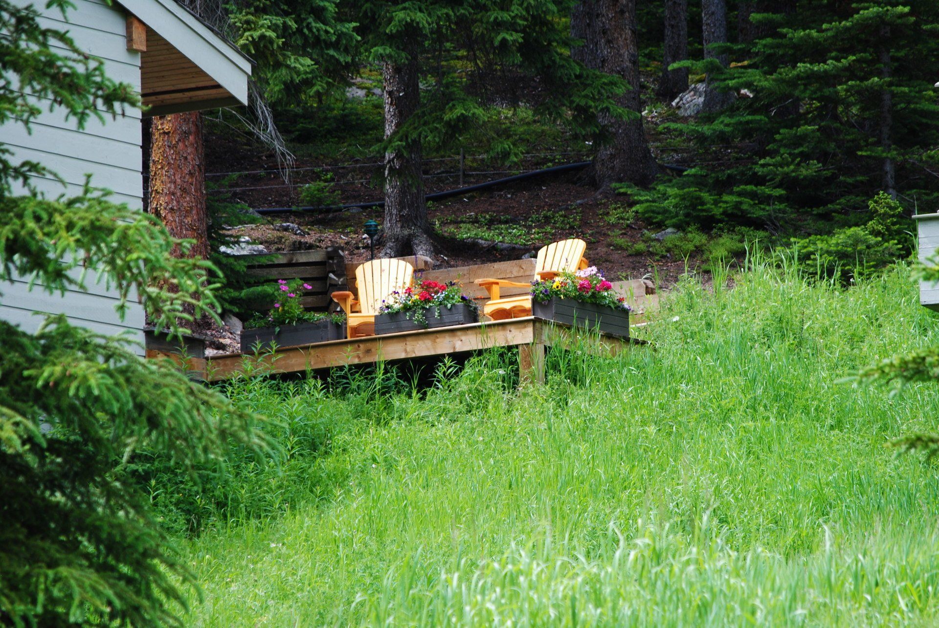 A deck with chairs and flowers in front of a house in the woods