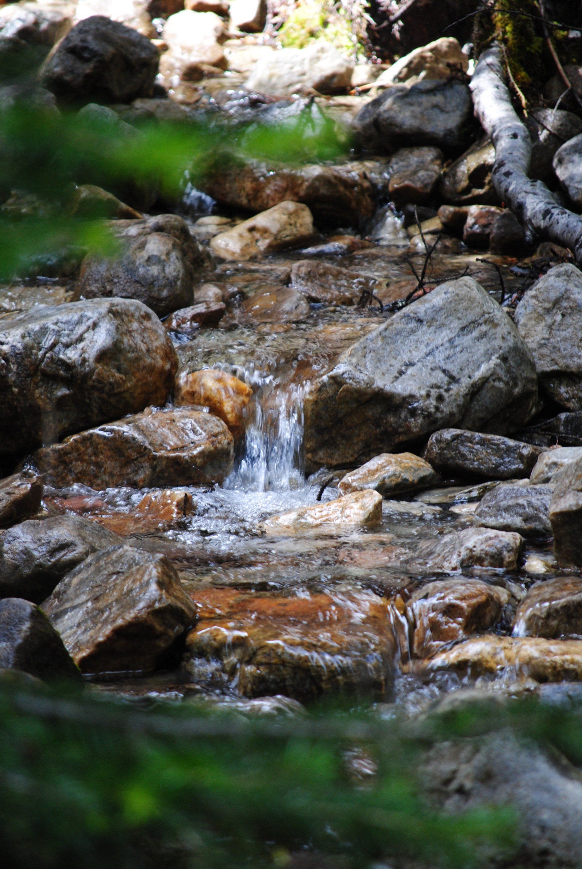 A small waterfall is surrounded by rocks in the woods.