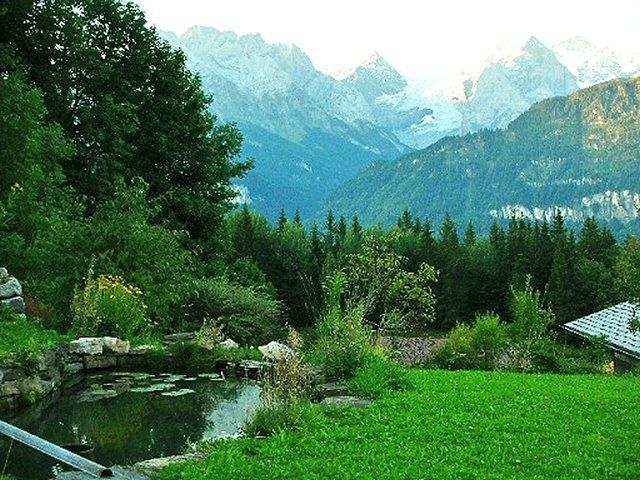 A pond in the middle of a lush green field with mountains in the background