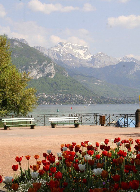A lake with mountains in the background and flowers in the foreground