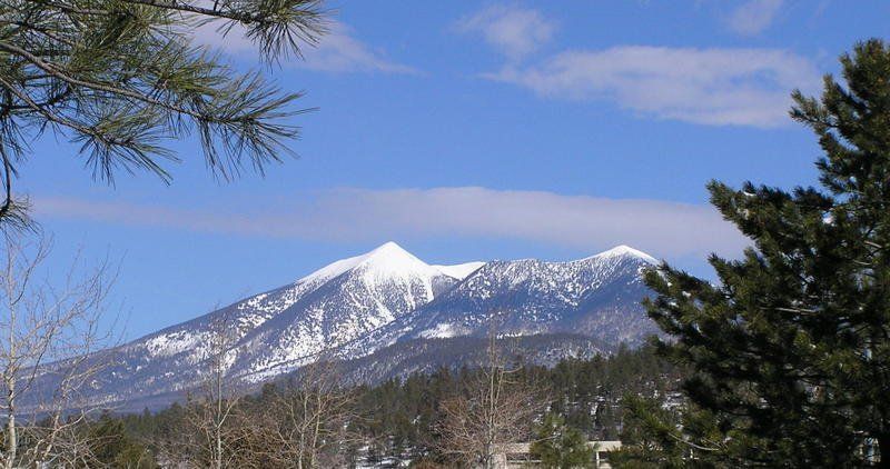 A snowy mountain with trees in the foreground and a blue sky in the background