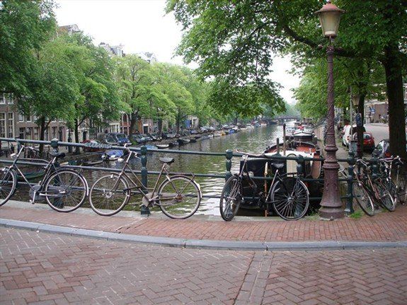 A row of bicycles are parked next to a canal
